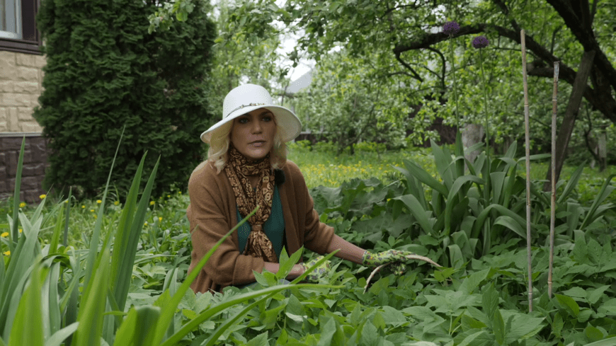 Кухня под ногами